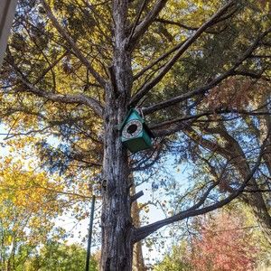 Meet your Posher, Wy